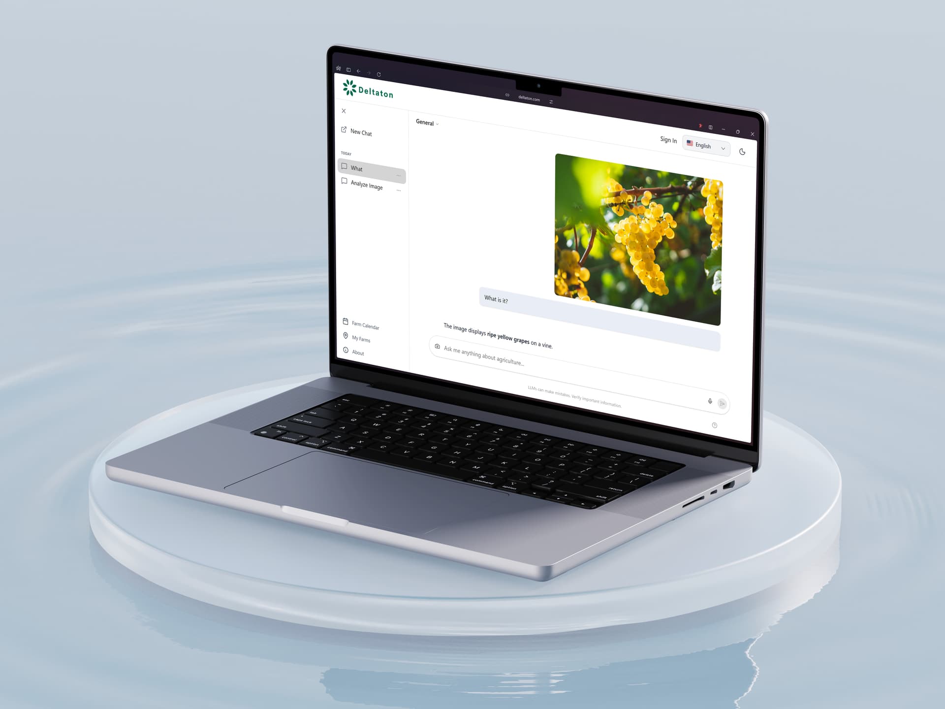 AI Tools & Services